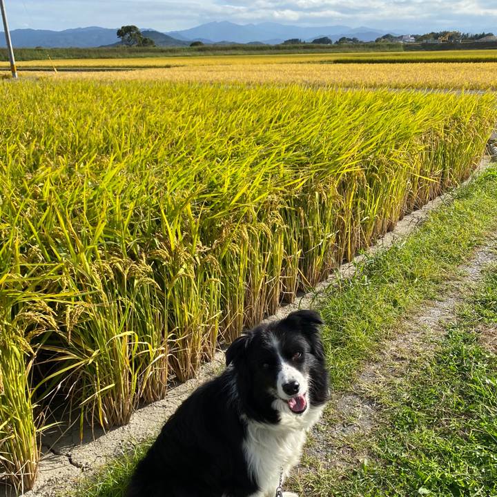 F3d37d80 f65b 4951 95cd 4c723c9ff145 1602204149193