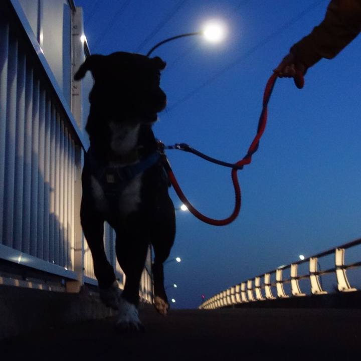 F3d37e3e 8e13 4cd6 b6a1 b38b987514af 1615805321210