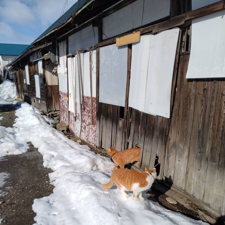 F3d3aacd bf2f 4a5e b494 5f19a2a46f44 1770512684835