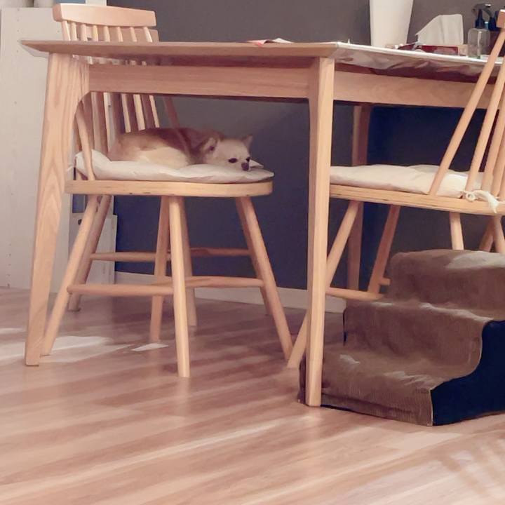 F3d3b818 7779 4155 ac8d 1ab7e812c917 1720090371447