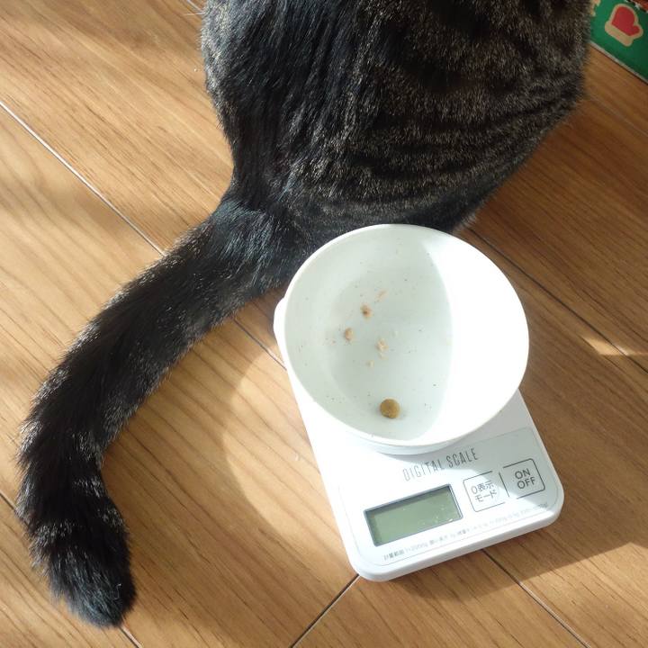 F3d3fb59 020f 44c8 9fc8 38c433f45808 1763895246838