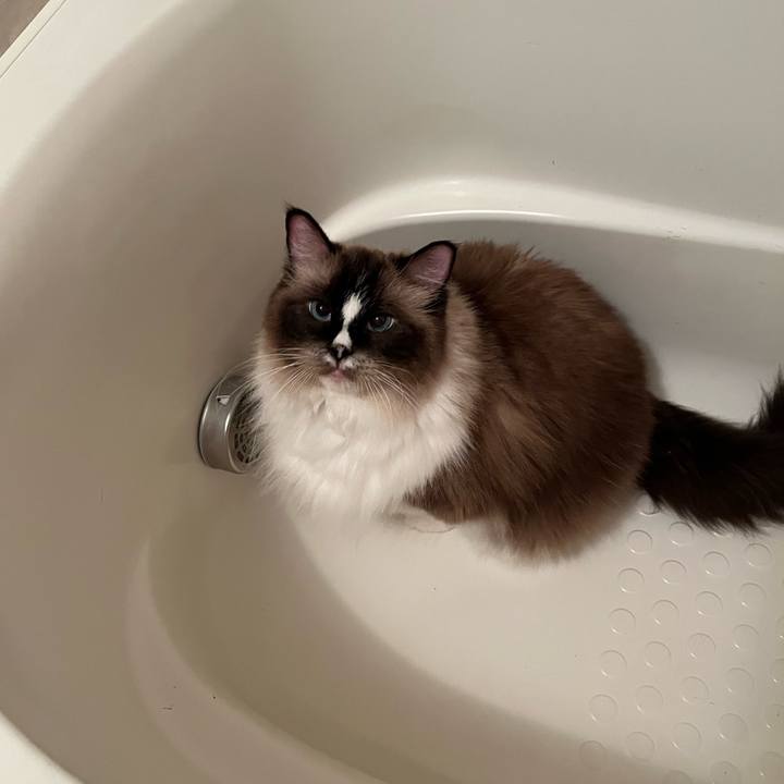 F3d41ee6 c821 4fb5 9b76 0aa7189022a9 1727702052613