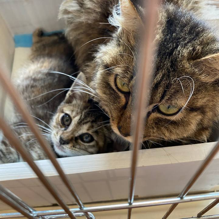 F3d46ae4 9525 40e8 ac92 4c870a6cc41e 1654936203365