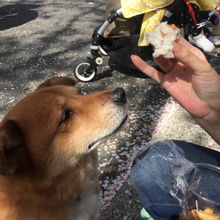 F3d4720a 58e4 4e28 8271 8adf373d7fb2 1522586764424