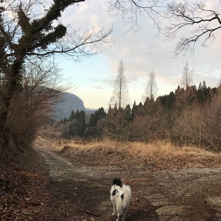 F3d47c39 1568 46fd 90b4 4eebbb39f74c 1519979160491