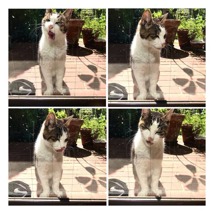 F3d48534 ac4f 423d 9b57 89cfdaa28936 1664075194149