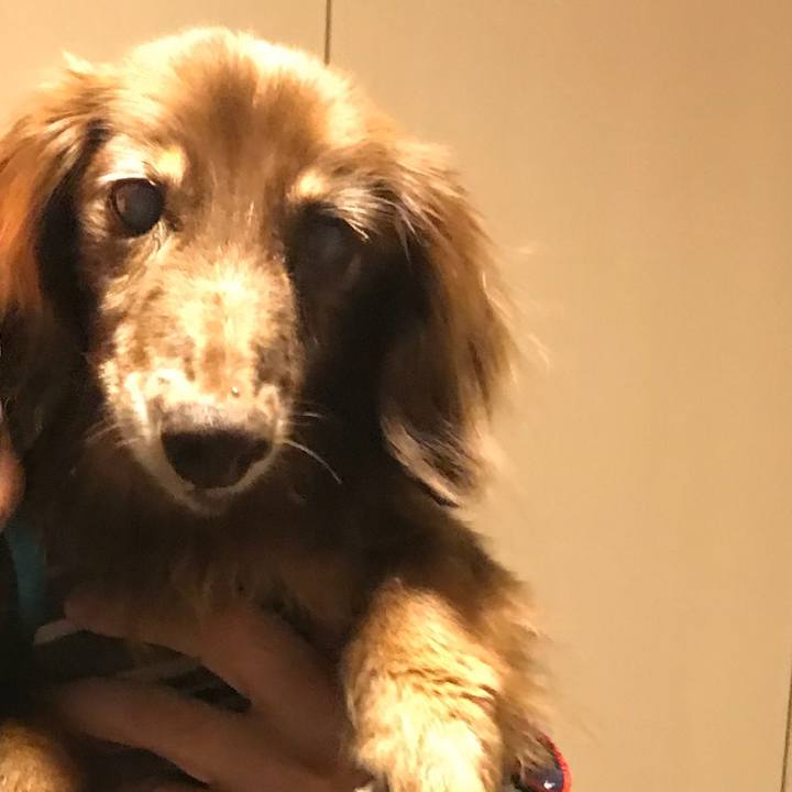 F3d4ac9d 452c 4618 81c6 1fb5145ff789 1533247265946