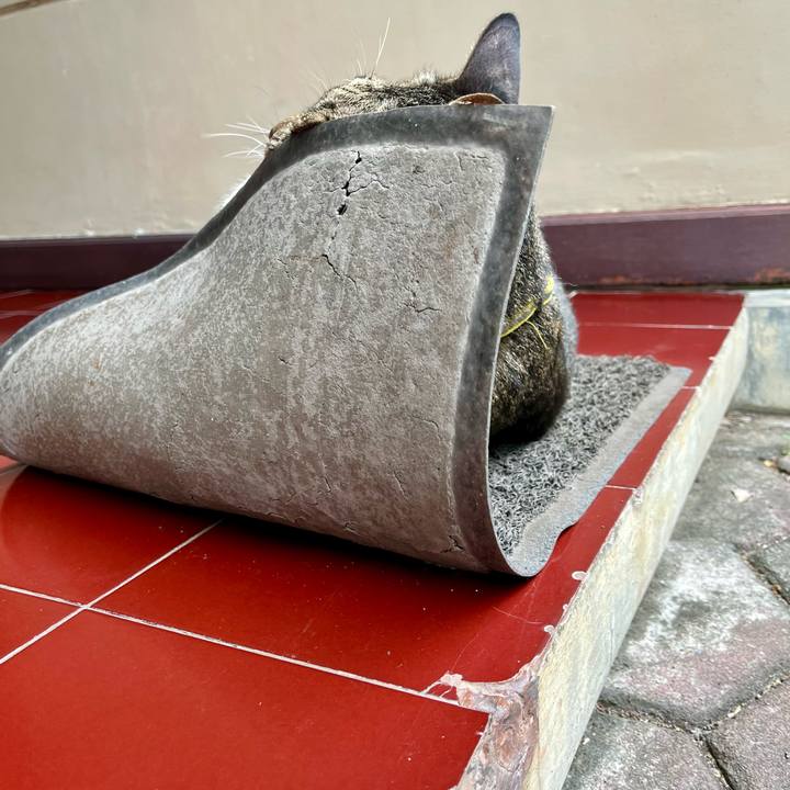 F3d4af1a 4cc2 4648 b720 fc1a80a71a9d 1763611520854