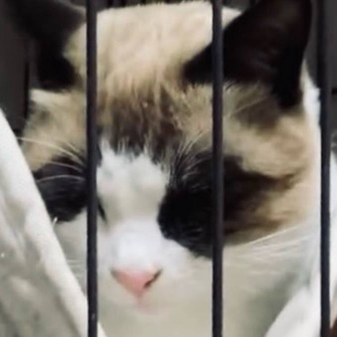 F3d4c239 e372 49ea 9851 b31a6e04bb9f 1734687233075