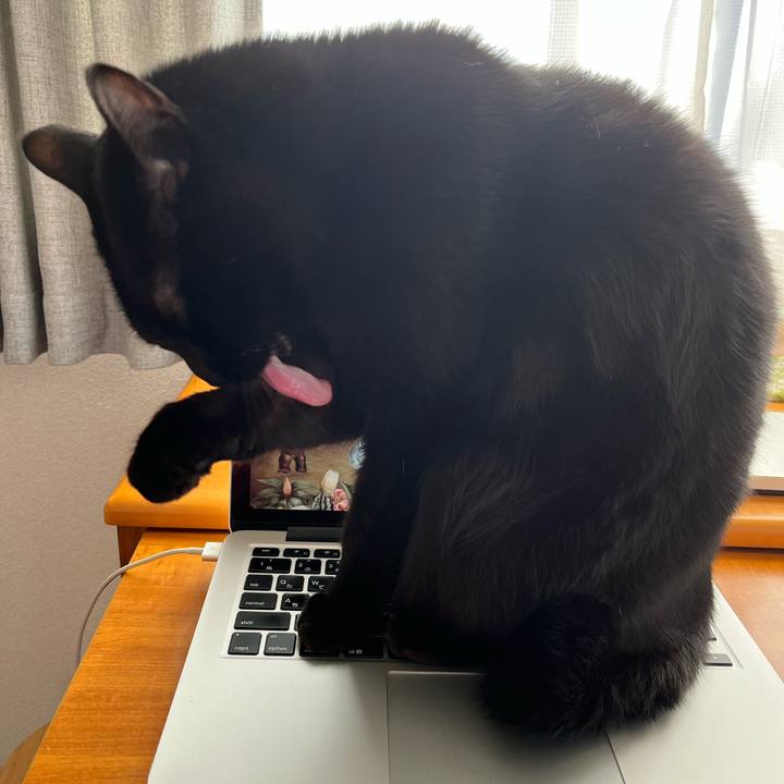 F3d4e594 f0d0 4b26 b558 90a44fc93708 1673308959949