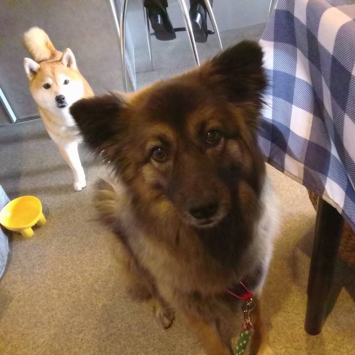 F3d4eec8 8d50 4121 8a50 61479c906cb3 1771657993733