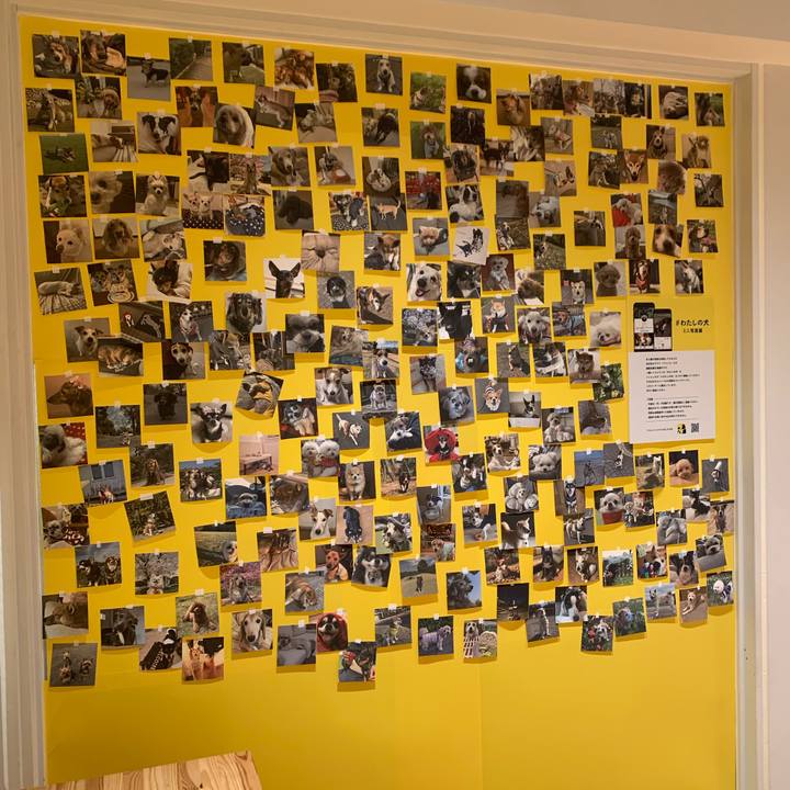 F3d5206c ebca 4fbb b937 91778e5b08a2 1774169421397