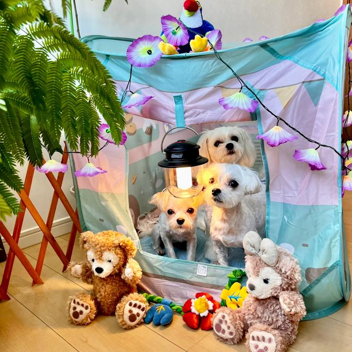 F3d57d2c e1d8 4638 b2e3 9dd27f89ab6e 1660029655364