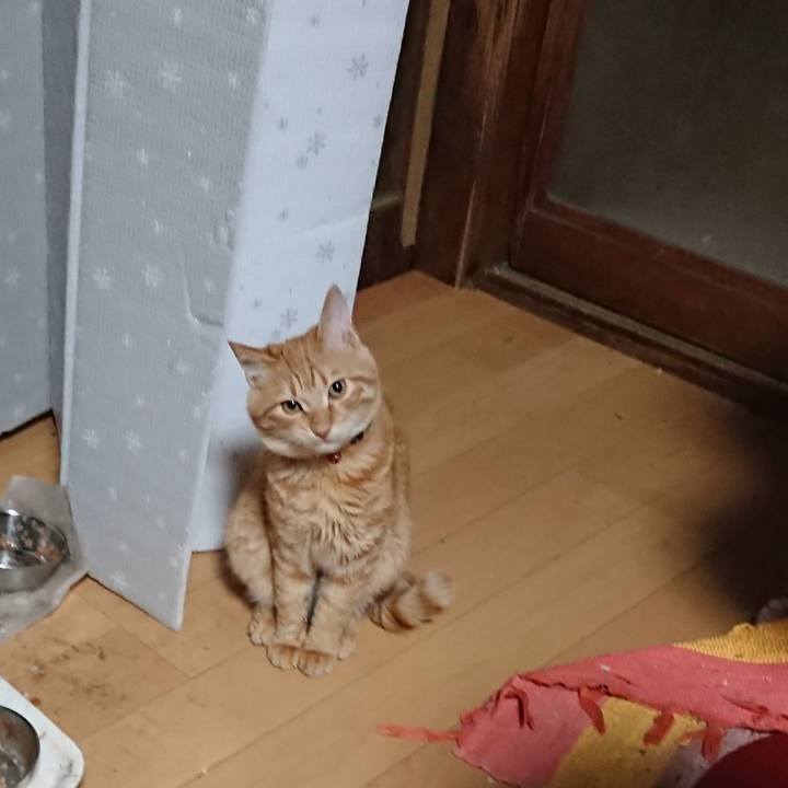 F3d593e2 091a 4a78 96d8 9d28dedcc404 1638914763968