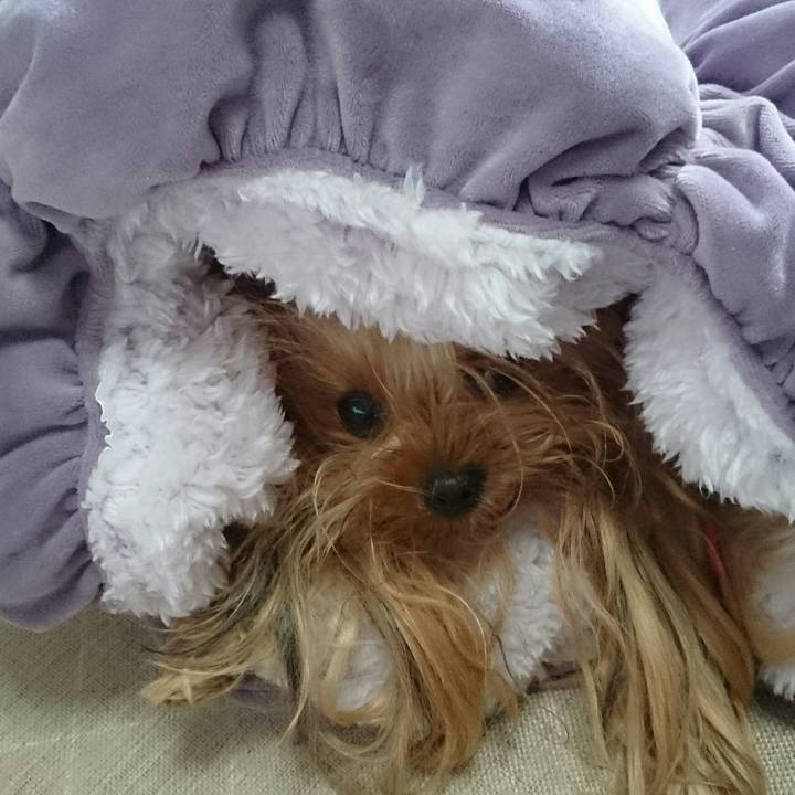 F3d594d5 5678 4e6d 9825 9e27c4ff1097 1512902412430