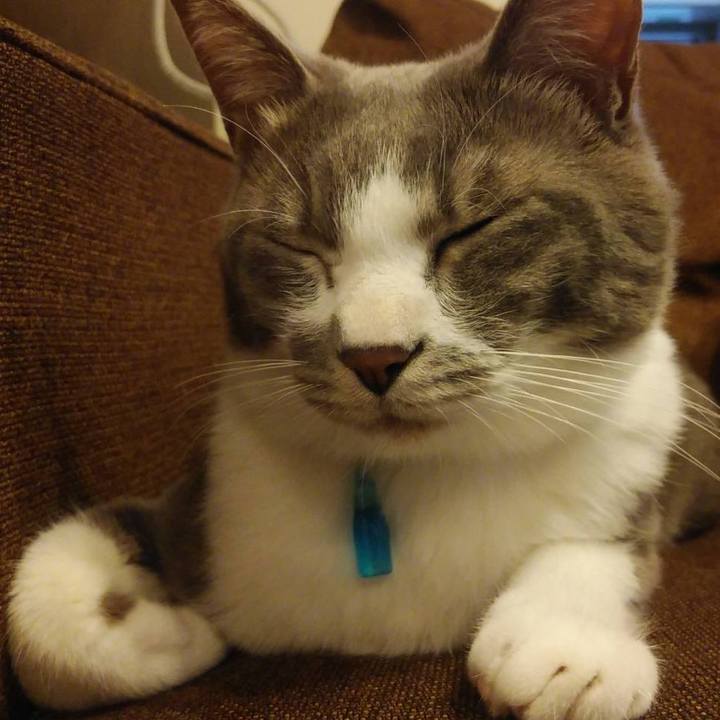 F3d5a526 27b4 4320 b5b3 265b8135cbb6 1618304294857