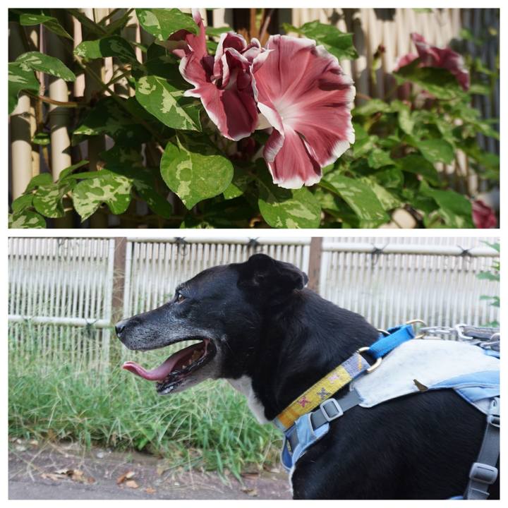 F3d5c638 5570 46d7 8870 3734b930590f 1755995559117