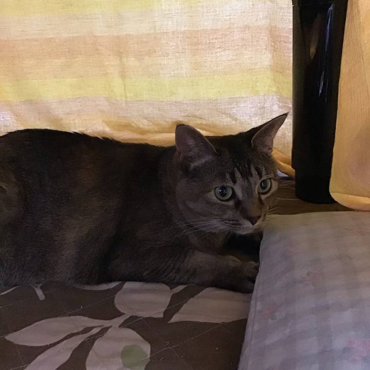 F3d5d6b7 35c9 4850 95ae d871817282b7 1685358013565