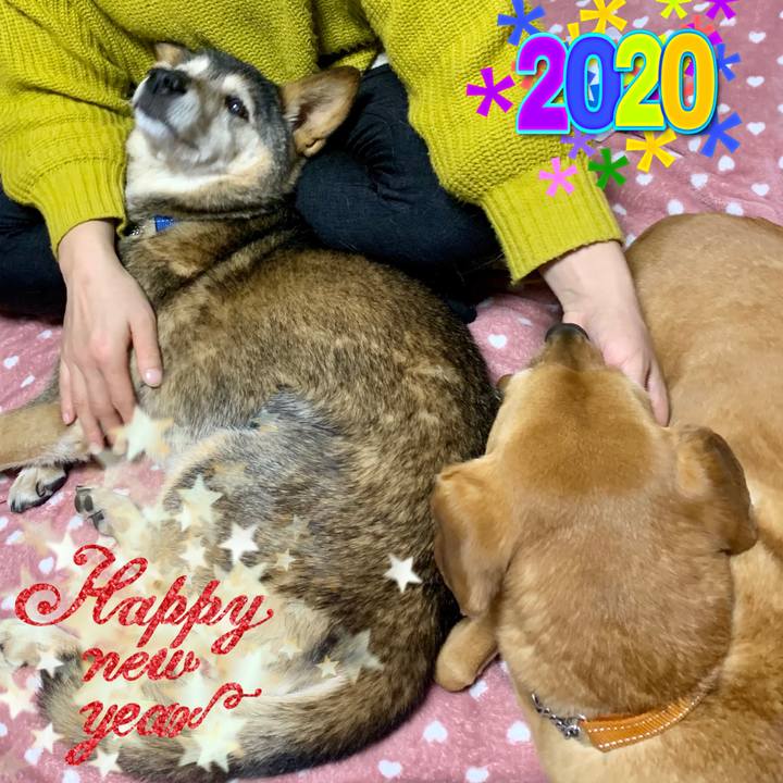 F3d5e4f2 7817 43ad abe6 f2ee883edd49 1577805552674