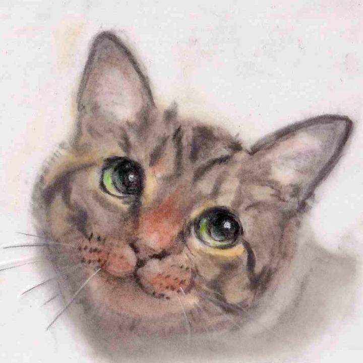 F3d63120 119a 4963 a6d2 478c228167d2 1647353808245