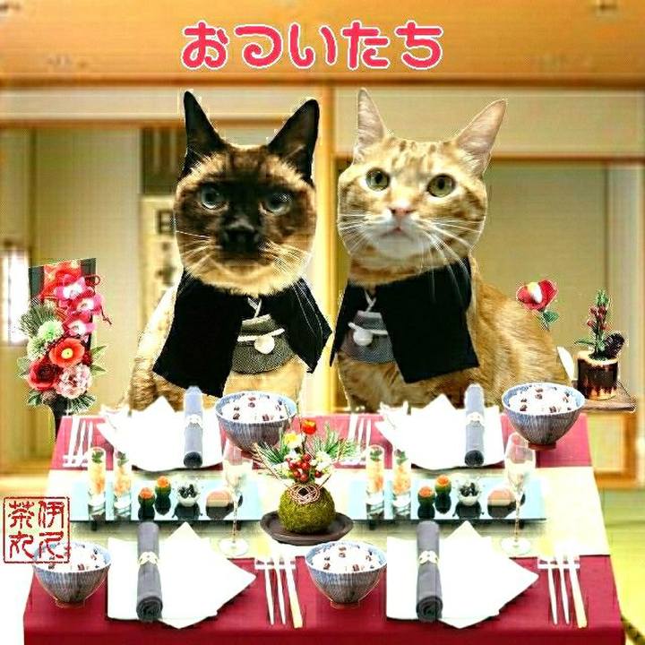 F3d6381e 26f4 46af 8a0f d76af1fa4728 1546344436190