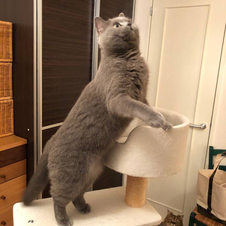 F3d6a4b1 2511 4cfa 8571 6ee78db9d4d1 1524839432138