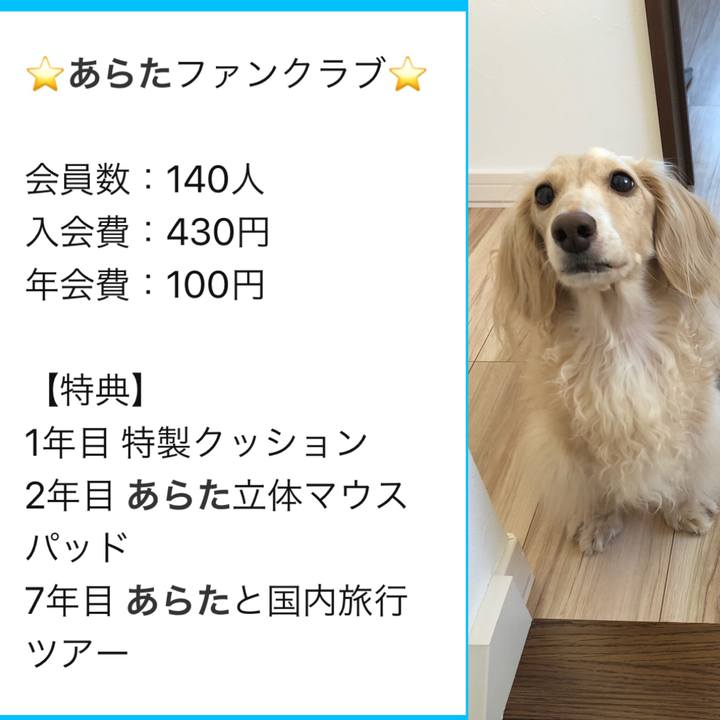 F3d6b348 c2ca 456c bd29 de15eff65223 1568381166604