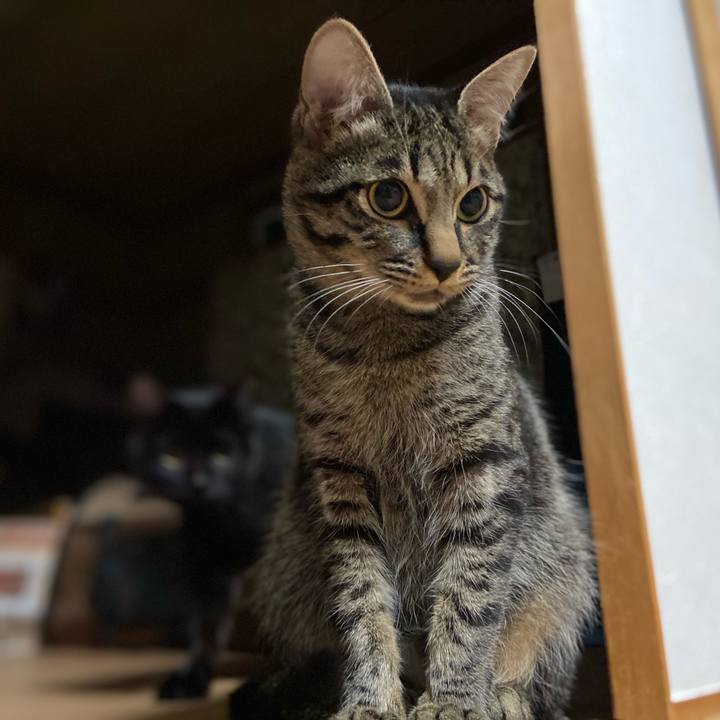 F3d6d043 af26 43c1 9208 a2b7dd2a4679 1618922402850