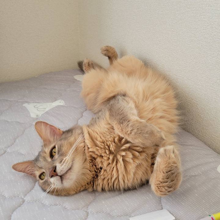 F3d6de1b 259c 408d 9d45 2e5c41544505 1692857075513