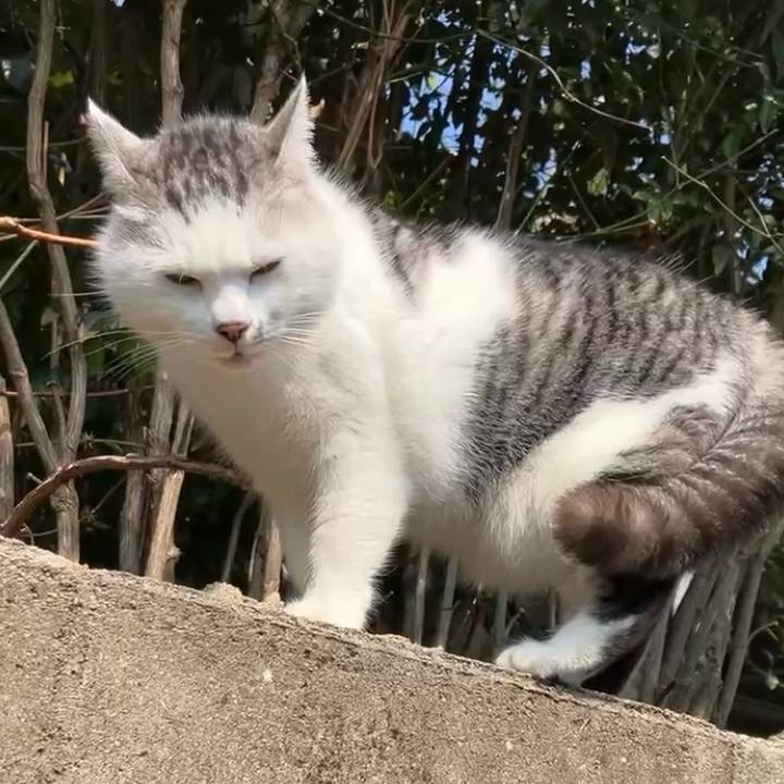 F3d721e3 1d91 424a 939f d6812ec34cc7 1742522957222