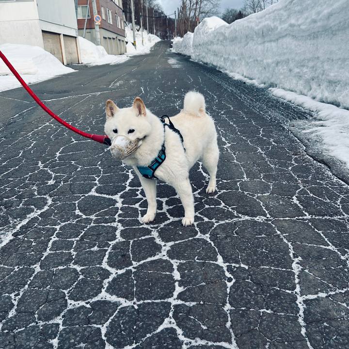 F3d722d9 4c83 489f 8a41 4bf008b2dc19 1773267951236