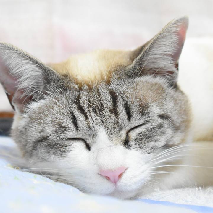 F3d75b2b 283b 4a8a aaf4 eeb5581ac634 1557659277981