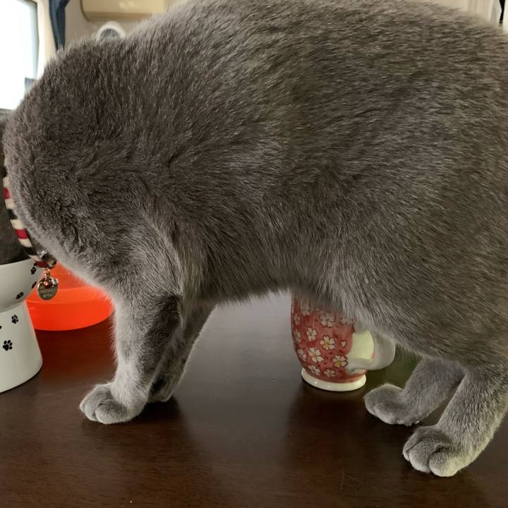 F3d76498 89a3 4d4a 8f80 f938e7e3ad55 1667625940134