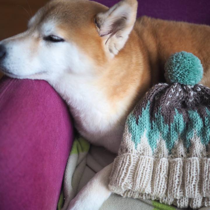 F3d76dcb aeed 4140 bccf e8e11bffe795 1579439282889