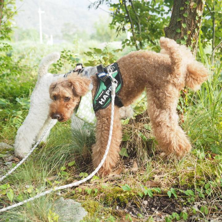 F3d77c50 6a35 4de6 ae5f 29dbdd798356 1566407716580