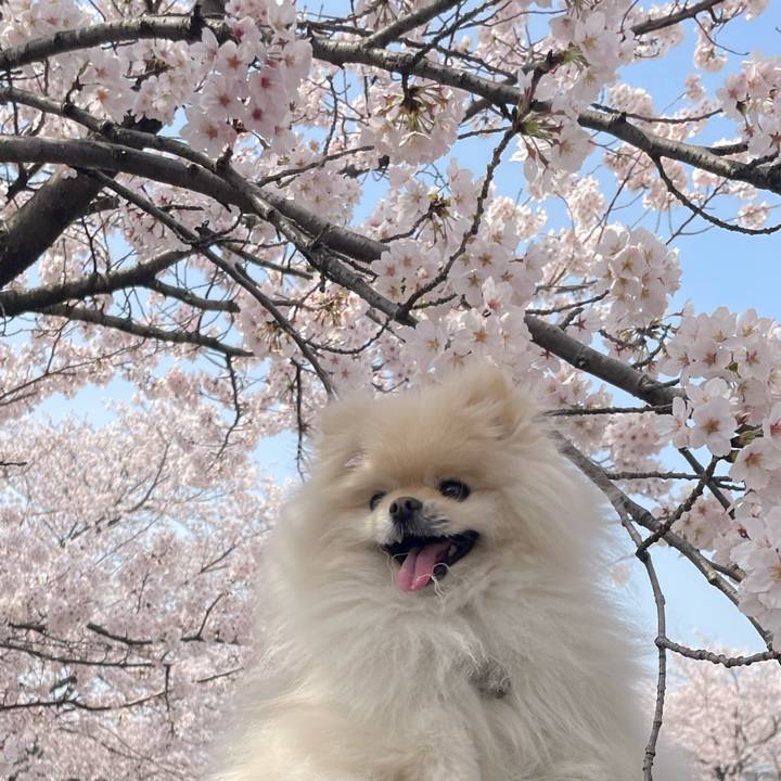 F3d7bae0 a862 4b1b 8b5b aa3c0ccaf0c4 1648683988578