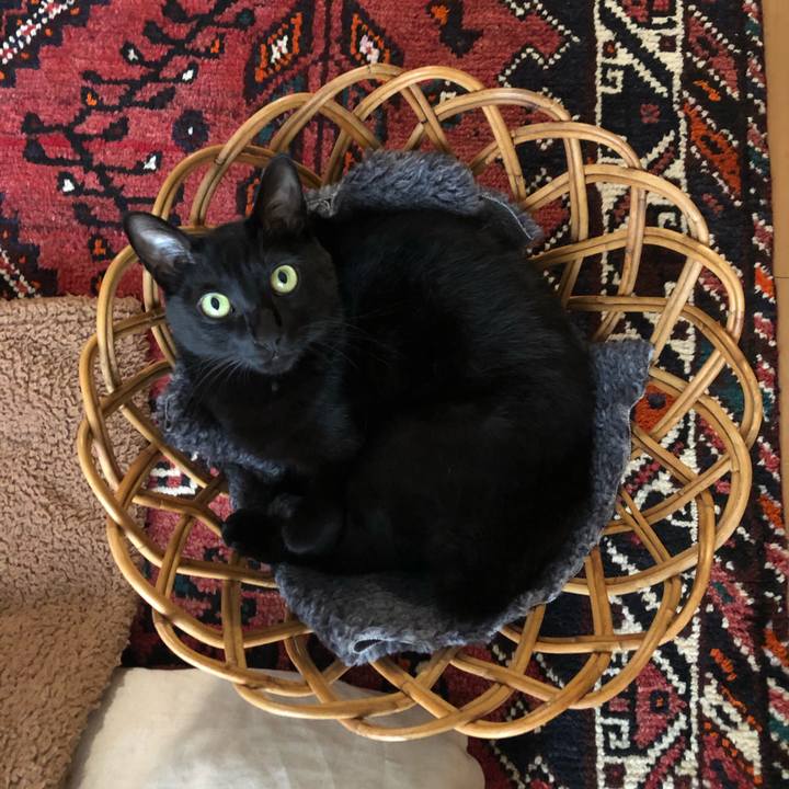 F3d7d223 674f 46fb b266 6f74b13d2b0c 1574642512740