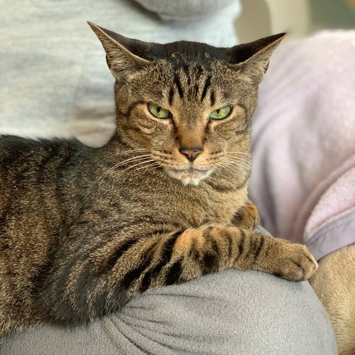 F3d7e8ff dc93 4b49 9ca4 986e41ff3150 1553736991329