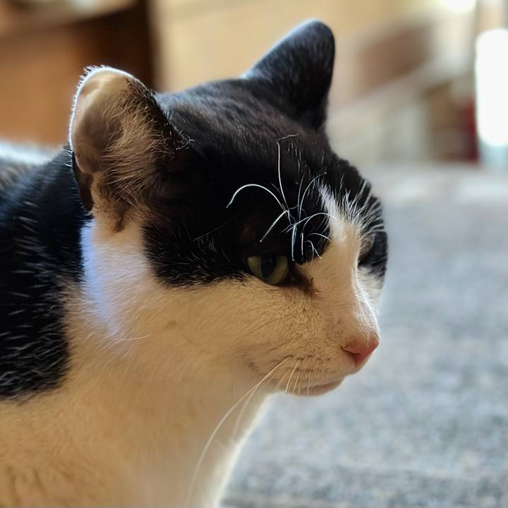 F3d7f0d5 832b 42fb 8e1f 1f1f1a7024d3 1674273078102