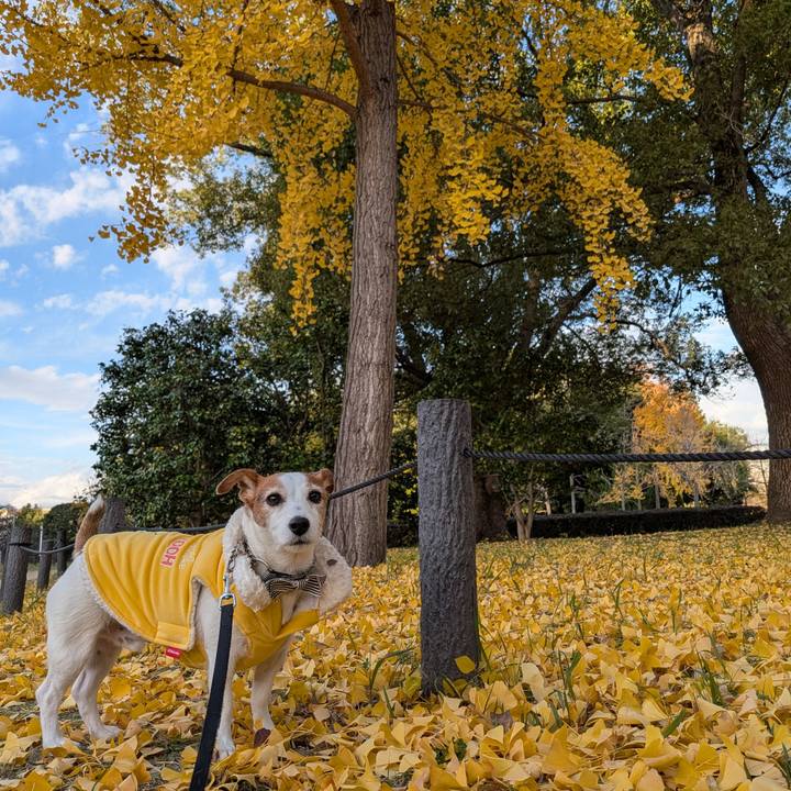 F3d804c8 8afc 49fc bfd3 2412b1da19f8 1764766931133