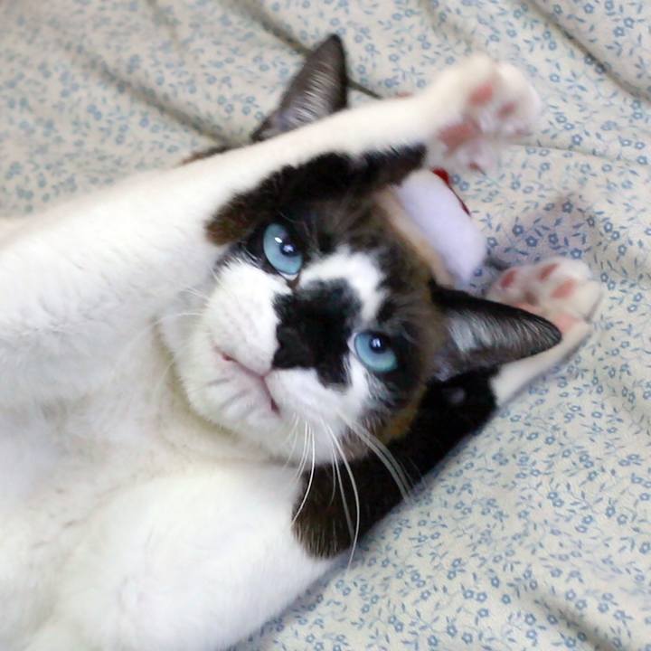 F3d80c53 a86b 4cee a246 1baaa45a0cc0 1549333553312