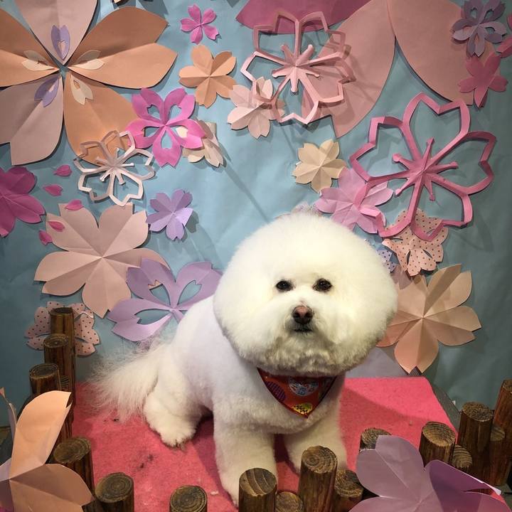 F3d85946 61b7 46c5 9a63 9f66383a5230 1617495393846