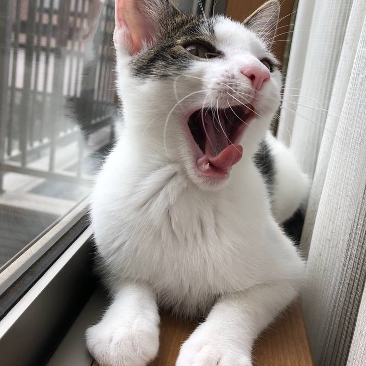 F3d8995d 1bc1 4616 8771 151b5f56c6b2 1569915784588