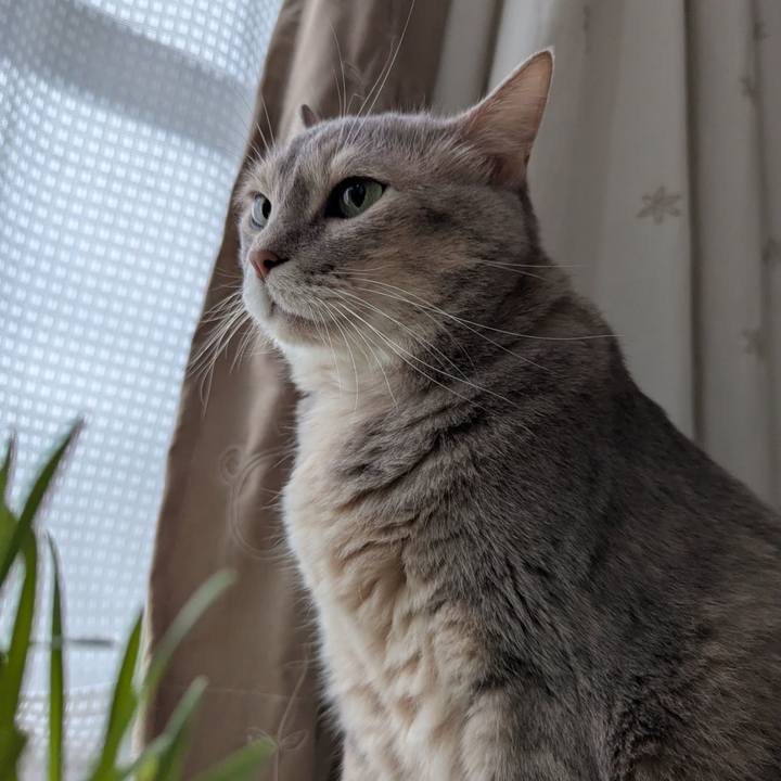 F3d8a980 62b5 4e1d b194 e8dd498b0bf5 1755500669121