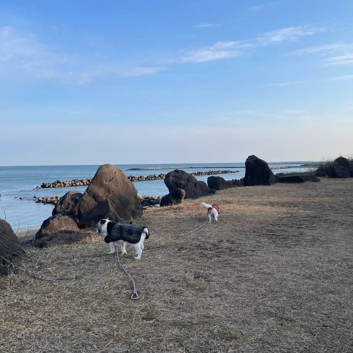 F3d8af10 8c03 4138 879c 3d97a0fb22f4 1644884841566