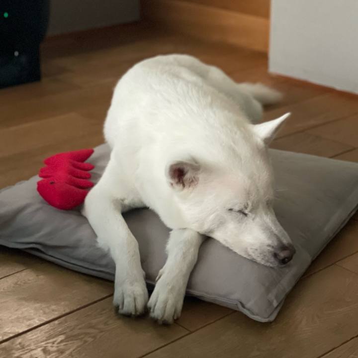 F3d8e8ec 1457 43cc 9aff dd07d52dce00 1639877848340