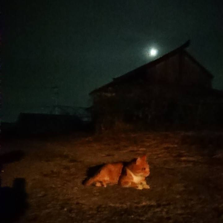 F3d9097c f07c 45c7 ad55 1cfb23471396 1601372136738