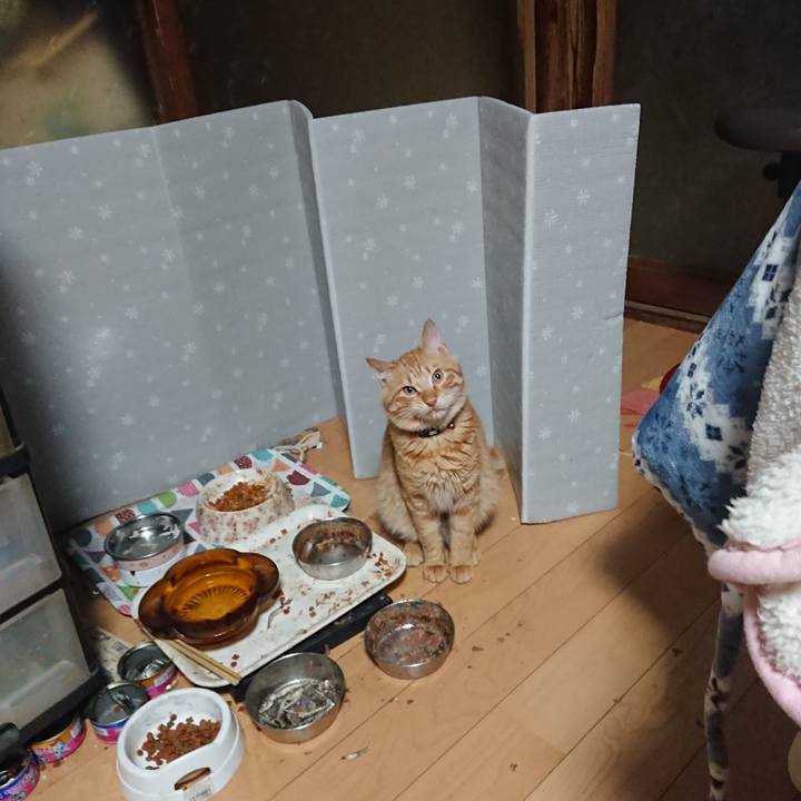 F3d9452f 03a7 4c20 8acd a0c13c593ce7 1642974102458