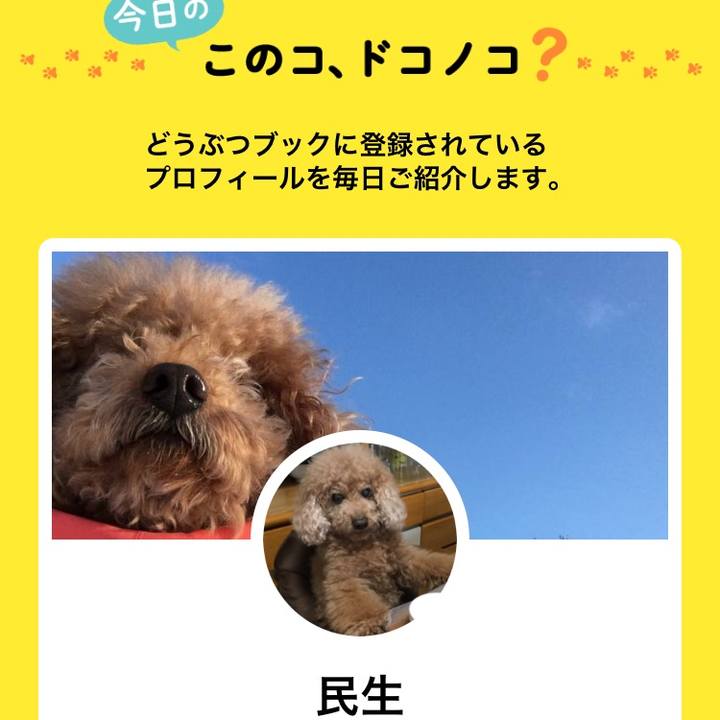 F3d9597a eec4 4c00 bb39 751d6fe75c9e 1556364172101