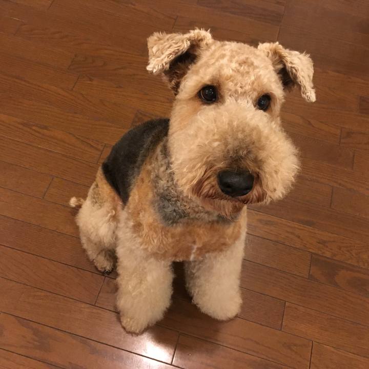 F3d95df8 7ab3 428e 9758 8d658159ce24 1546662346168